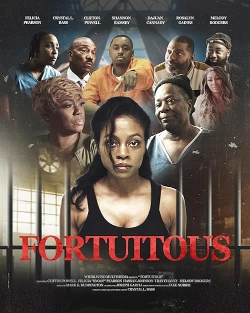 Fortuitous film posteri